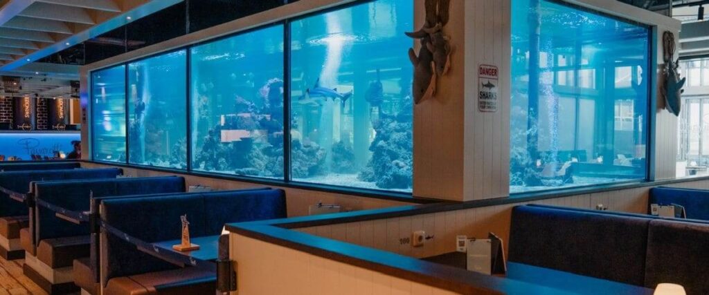 pavarotti kijkduin sharktank