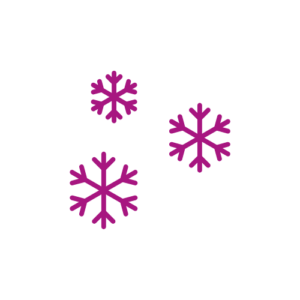 Bedrijfsuitje Winter